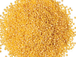 Kasza jaglana opak. 5 kg