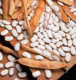 Fasola jaś piękny 500 g